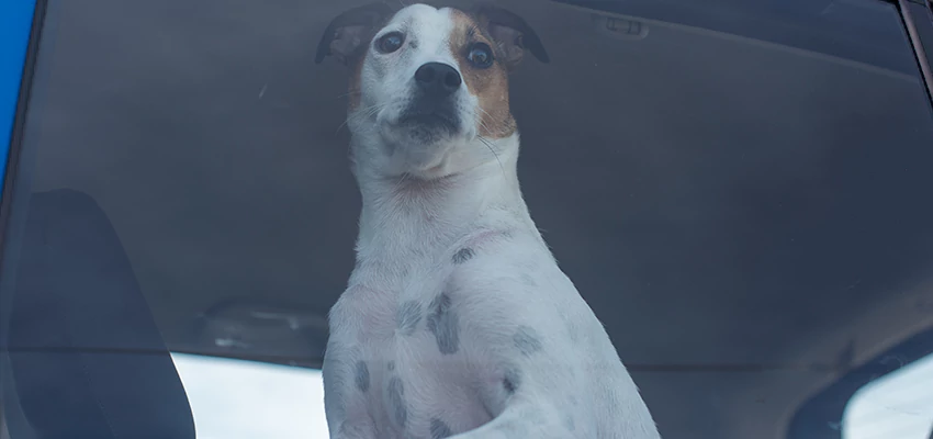 Car Lockout Solutions in Valinda, California