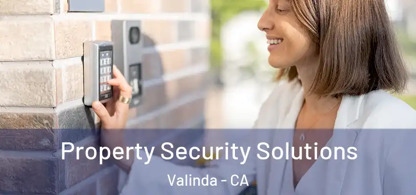  Property Security Solutions Valinda - CA